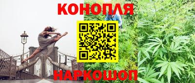 сатива Донской
