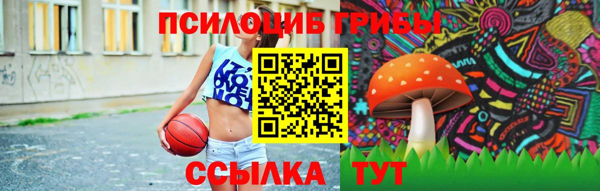 Галлюциногенные грибы MAGIC MUSHROOMS Москва